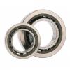 3.15 Inch | 80 Millimeter x 5.512 Inch | 140 Millimeter x 1.024 Inch | 26 Millimeter  SKF NUP 216 ECP/C3  Cylindrical Roller Bearings