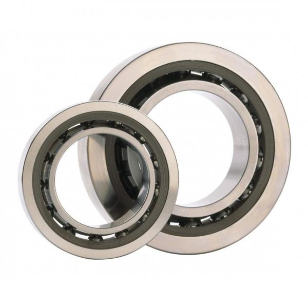 3.15 Inch | 80 Millimeter x 6.693 Inch | 170 Millimeter x 2.283 Inch | 58 Millimeter  NSK NU2316W  Cylindrical Roller Bearings #3 image