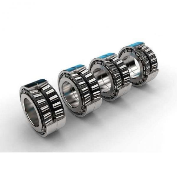 3.15 Inch | 80 Millimeter x 6.693 Inch | 170 Millimeter x 2.283 Inch | 58 Millimeter  NSK NU2316W  Cylindrical Roller Bearings #2 image