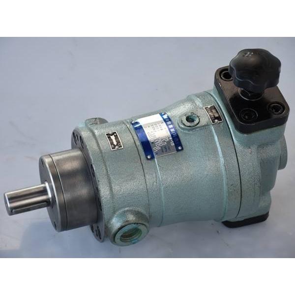SUMITOMO CQT63-125FV-S1307J-A Double Gear Pump #1 image